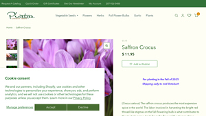 Superseeds - Saffron Crocus Bulbs