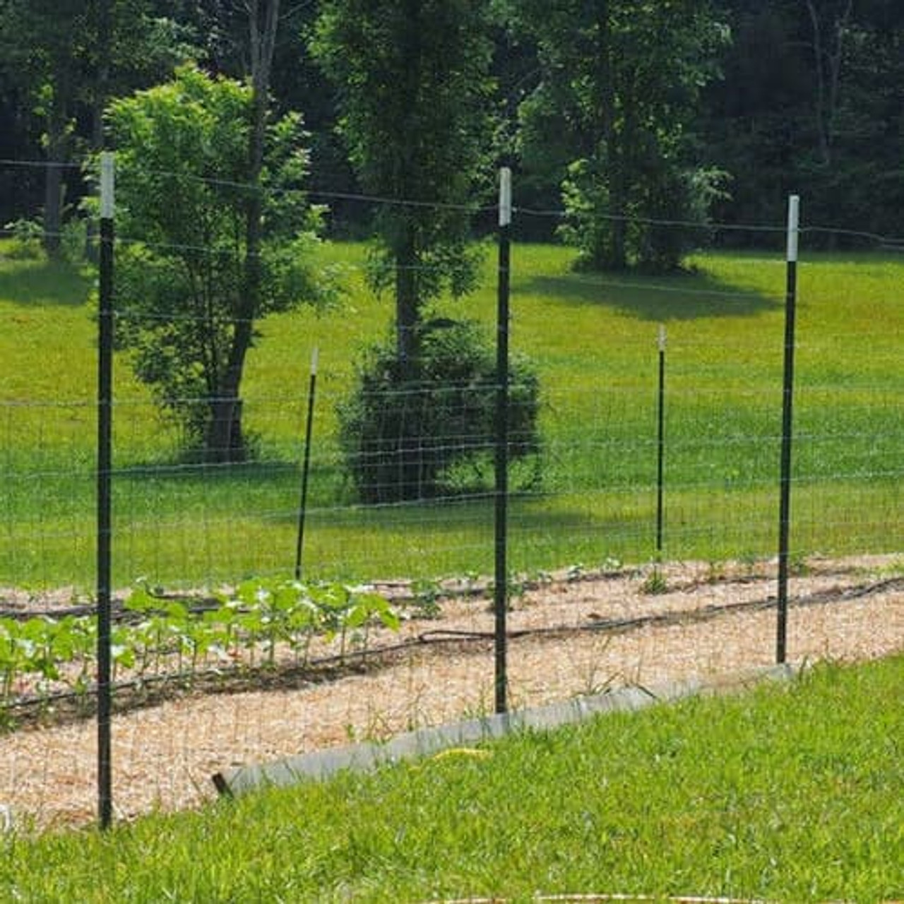 A relevant stock photo of t post fence in a typical setting.