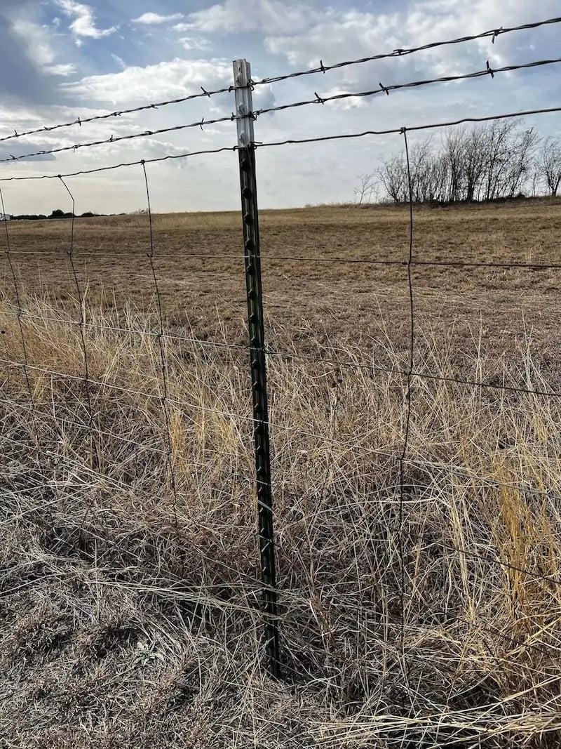 A relevant stock photo of t post fence in a typical setting.