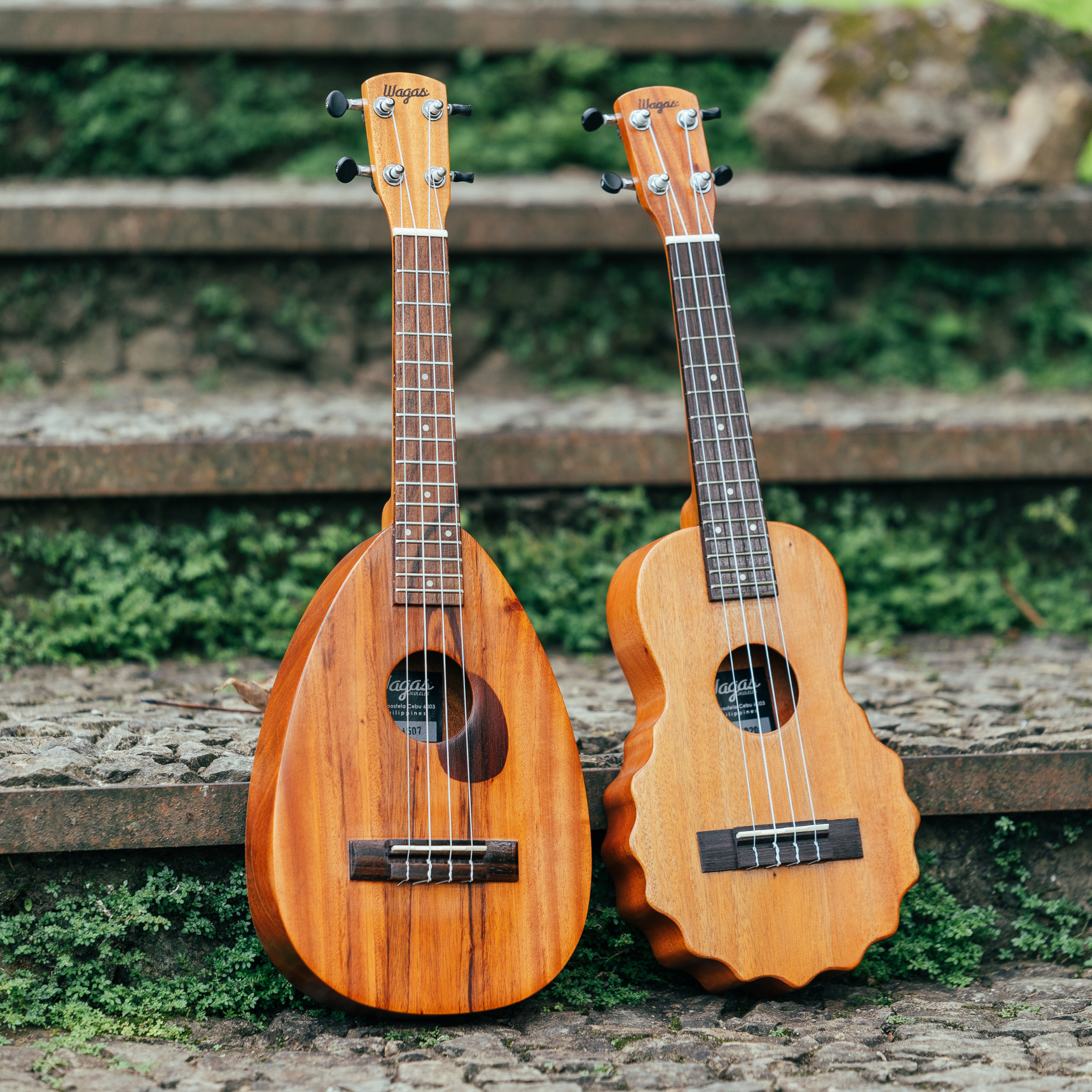 A relevant stock photo of traditional wood for a ukulele in a typical setting.