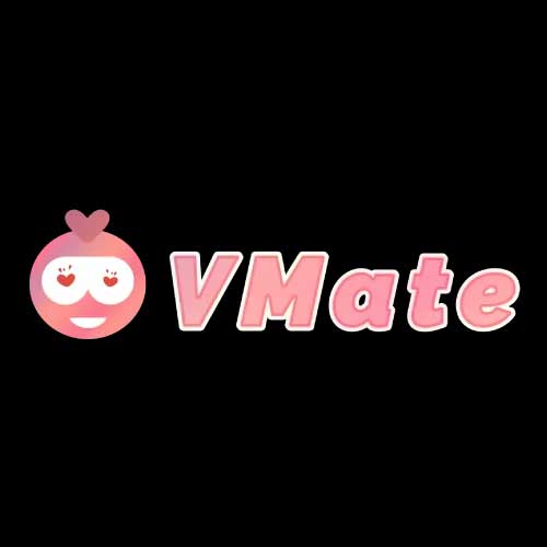 A relevant stock photo of vmate ai in a typical setting.