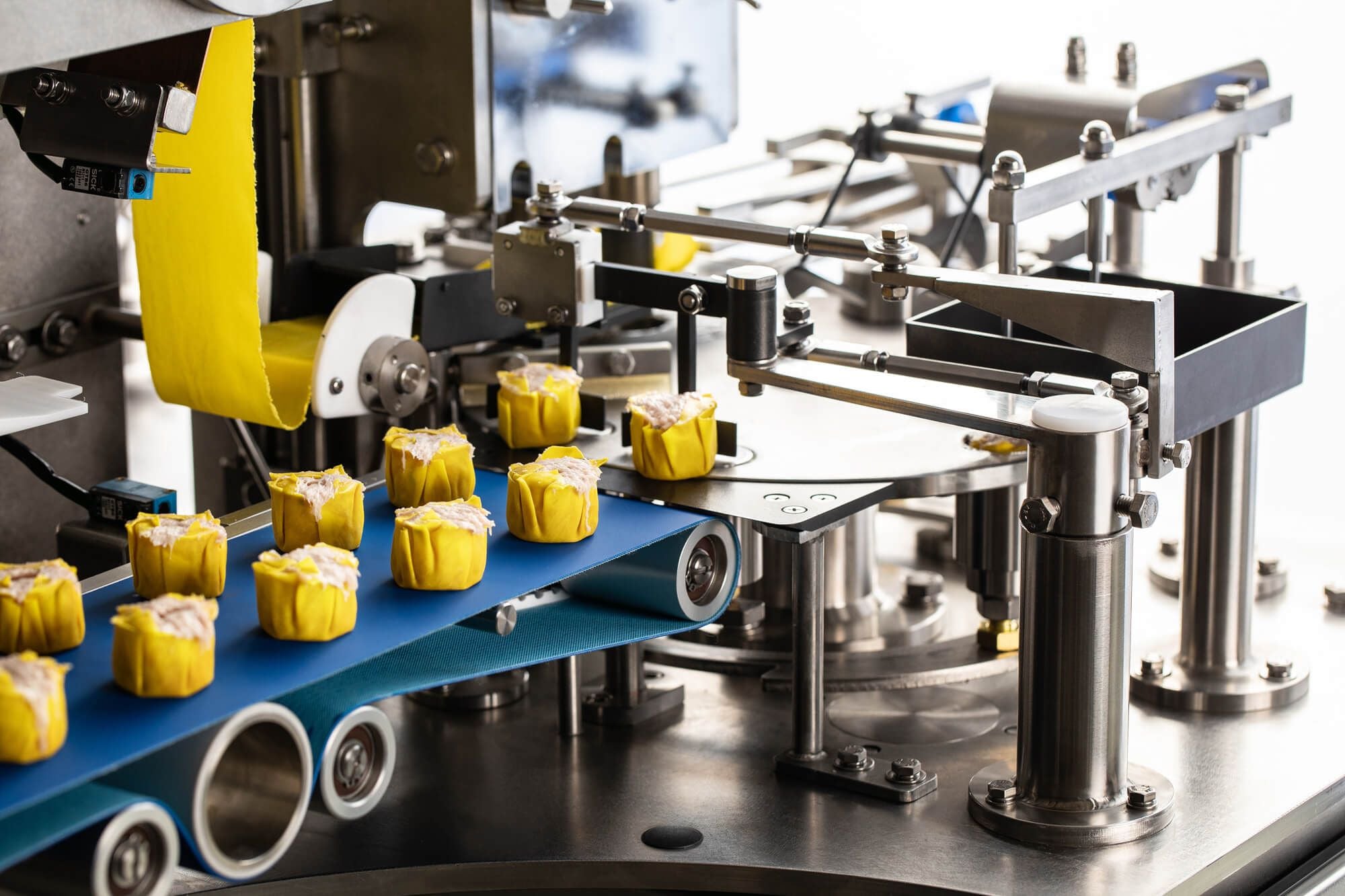 Illustrative example of food machinery manufacturers from Google Search