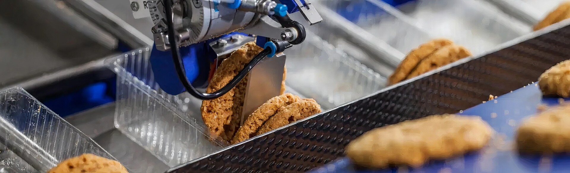 Illustrative example of food packaging machine from Google Search